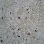 Granite Bianco Remano.jpg