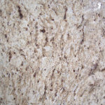 Granite Ornamental.jpg